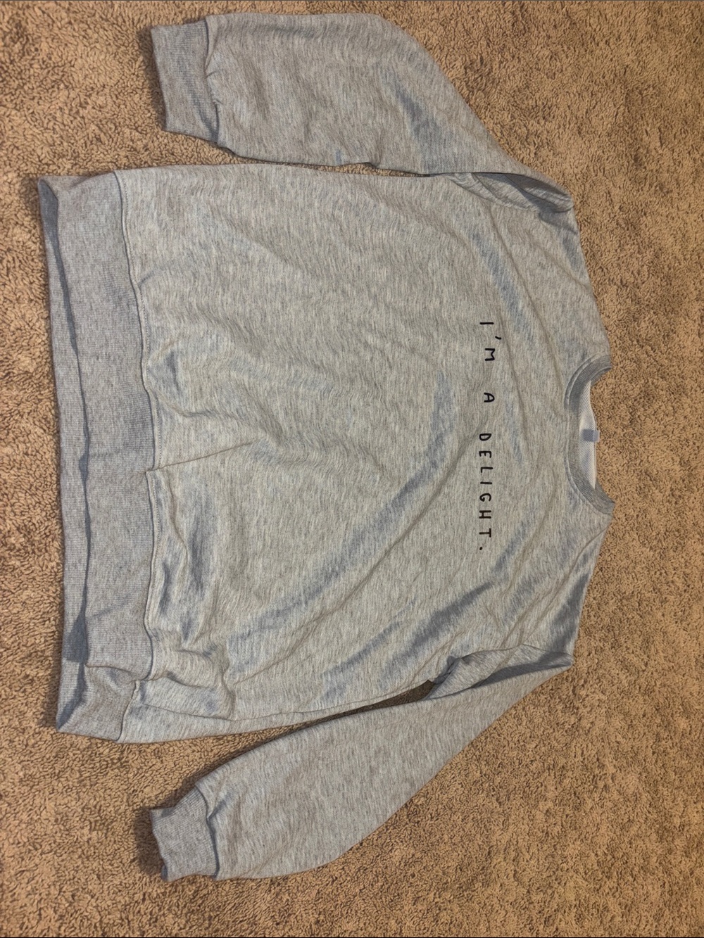Source Unknown Light Gray Crewneck Sweatshirt with "I'M A DELIGHT"